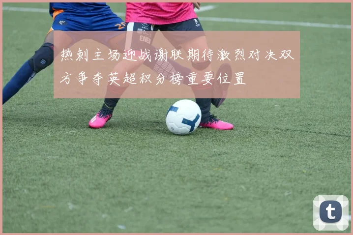 热刺主场迎战谢联期待激烈对决双方争夺英超积分榜重要位置