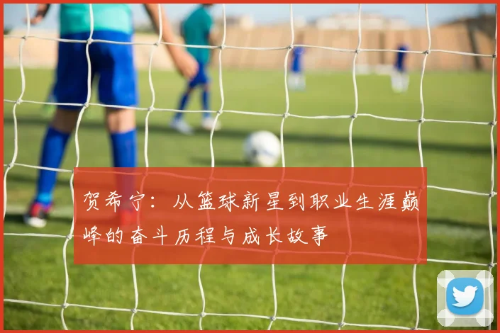 贺希宁：从篮球新星到职业生涯巅峰的奋斗历程与成长故事