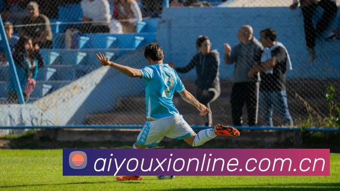 爱游戏平台生态图